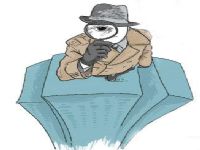 宁强县取证公司解说第三者承担离婚赔偿责任吗